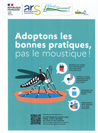 Mousique tigre