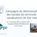 Campagne de débrouissaillage