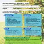 Plaquette-Haies-&-bosquets