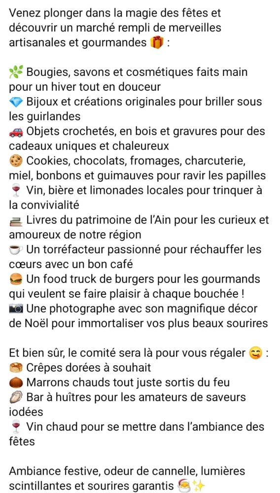 Exposants-du-Marche-de-Noel-du-Comite-des-fetes